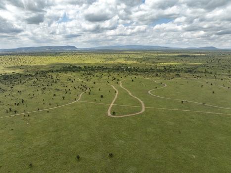 Aerial view of Swara Plains Conservancy featuring winding dirt tracks across the vast savanna landscape under a cloudy sky in Nairobi Machakos County Kenya. Aerial view of Swara Plains Conservancy featuring winding dirt tracks across the vast savanna landscape under a cloudy sky in Nairobi Machakos County Kenya.