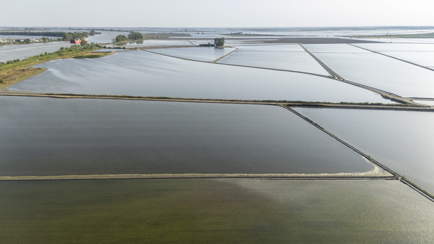 Aerial view of the flooded rice fields of Isla Minima with rectangular water plots and narrow paths under a clear sky in Coria del Rio Andalusia Spain. Aerial view of the flooded rice fields of Isla Minima with rectangular water plots and narrow paths under a clear sky in Coria del Rio Andalusia Spain.