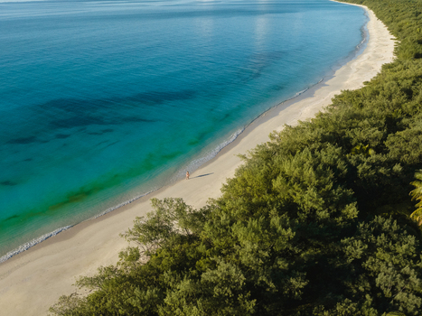 Aerial view of a pristine beach where turquoise waters meet the powdery sands fringed by verdant trees Ouvéa Loyalty Islands Province New Caledonia. Aerial view of a pristine beach where turquoise waters meet the powdery sands fringed by verdant trees Ouvéa Loyalty Islands Province New Caledonia.