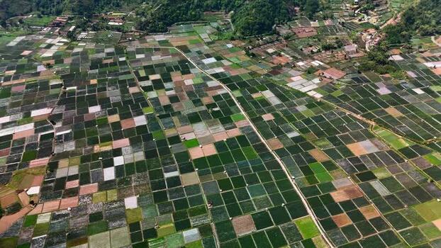 Aerial view of Bukit Selong patchwork fields in Sembalun Indonesia.