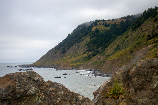 View of the rugged cliffs and misty hills of the Lost Coast along the rocky shoreline under an overcast sky in Humboldt County California United States.