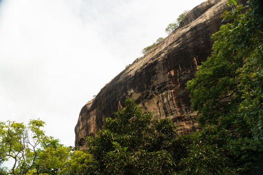 View of the massive dark rock face of Sigiriya rising above lush green tropical trees under an overcast sky in Sigiriya Central Province Sri Lanka. View of the massive dark rock face of Sigiriya rising above lush green tropical trees under an overcast sky in Sigiriya Central Province Sri Lanka.
