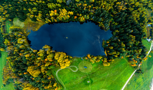 Aerial view of a dark blue lake surrounded by dense autumn forest with vibrant yellow and green trees adjacent to a lush green meadow with a small structure and winding tracks Latvia. Aerial view of a dark blue lake surrounded by dense autumn forest with vibrant yellow and green trees adjacent to a lush green meadow with a small structure and winding tracks Latvia.