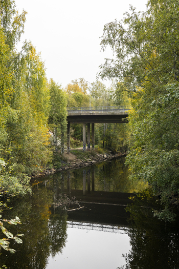 View of a concrete bridge spanning a calm river surrounded by lush autumn trees with yellowing leaves in Jyvaskyla Central Finland Finland.