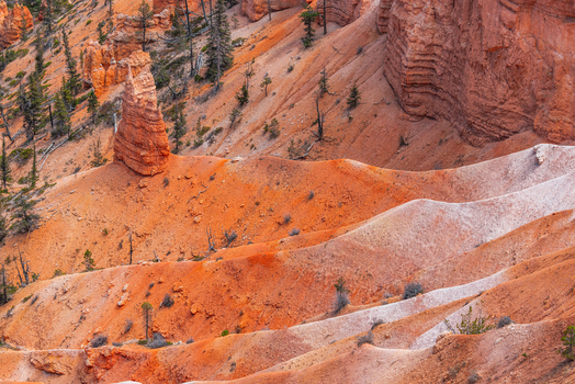 View of Bryce Canyon National Park featuring iconic orange hoodoos rugged sandstone formations and scattered pine trees in Utah United States.