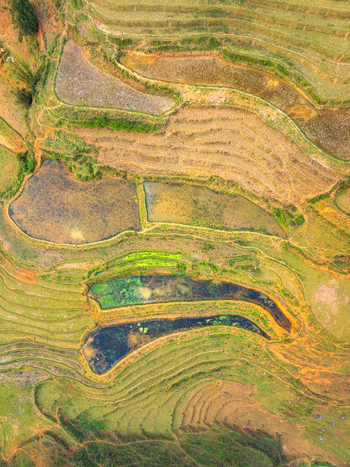 Aerial view of terraced rice paddies with water filled fields and lush green slopes in the mountains of VIETNAM. Aerial view of terraced rice paddies with water filled fields and lush green slopes in the mountains of VIETNAM.