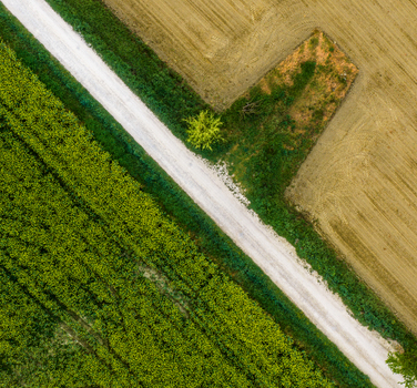 Aerial view of a white dirt road dividing vibrant green and brown agricultural fields in the Valdarno valley Florence Tuscany Italy. Aerial view of a white dirt road dividing vibrant green and brown agricultural fields in the Valdarno valley Florence Tuscany Italy.