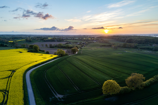 Aerial view of the Freienwillen estate area featuring vibrant yellow rapeseed fields and lush green meadows under a golden sunset sky in Langballig Schleswig Holstein Germany.