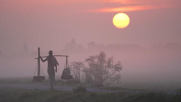 View of a man carrying a yoke at sunrise in Bogura Bangladesh. View of a man carrying a yoke at sunrise in Bogura Bangladesh.