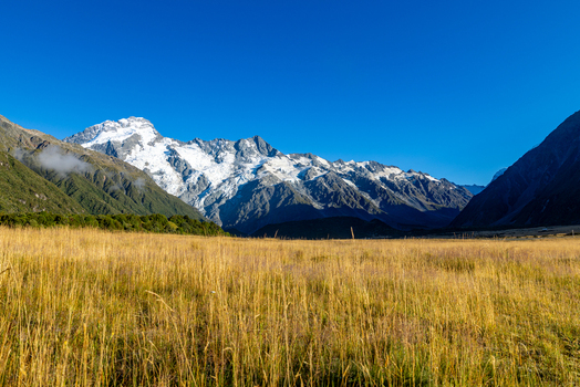 View of golden grassland stretching towards snow capped mountains beneath a clear blue sky creating a serene and picturesque landscape Mount Cook Canterbury Region New Zealand. View of golden grassland stretching towards snow capped mountains beneath a clear blue sky creating a serene and picturesque landscape Mount Cook Canterbury Region New Zealand.