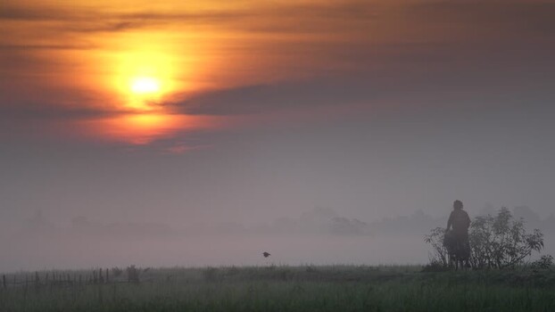 View of a person with a bike in a foggy field at sunrise Bangladesh. View of a person with a bike in a foggy field at sunrise Bangladesh.