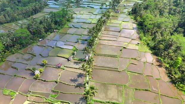 Aerial view of Banjar Mancingan Rice trekking in Bali Indonesia. Aerial view of Banjar Mancingan Rice trekking in Bali Indonesia.
