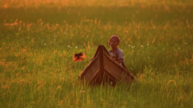 View of a man in a boat in a paddy field at sunset Bangladesh. View of a man in a boat in a paddy field at sunset Bangladesh.