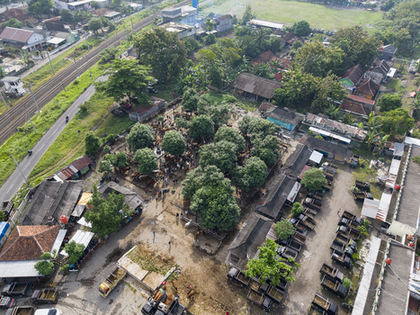 Aerial view of the bustling Animal Market Prambanan with people trucks and lush trees near a railway line in Kecamatan Prambanan Jawa Tengah Indonesia. Aerial view of the bustling Animal Market Prambanan with people trucks and lush trees near a railway line in Kecamatan Prambanan Jawa Tengah Indonesia.