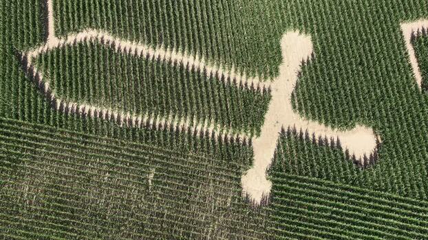 Aerial view of Labyrinthe de mais corn maze France.
