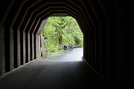 View of the historic tunnel entrance looking out toward a lush green forest with people standing on the road in Hood River Oregon United States.