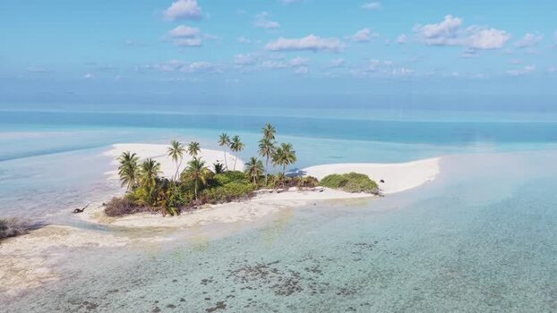 Aerial view of a tropical island with palm trees Maldives.