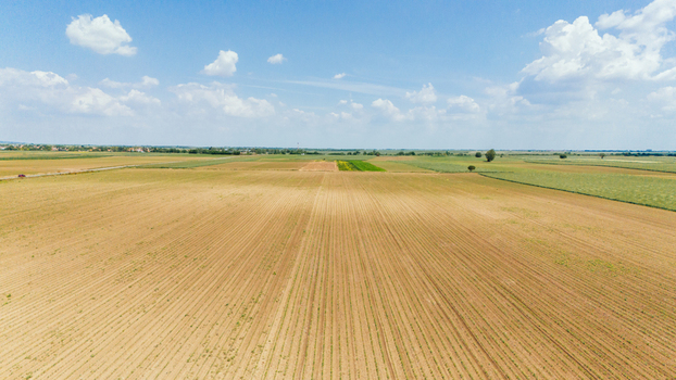 Aerial view of vast agricultural fields with visible furrows under a bright blue sky with white clouds in Novi Sad Vojvodina Serbia.