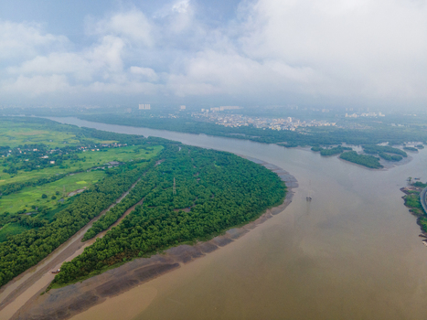 Aerial view of lush mangrove forests along the creek with the urban skyline visible in the distance under a cloudy sky in Thane Maharashtra India. Aerial view of lush mangrove forests along the creek with the urban skyline visible in the distance under a cloudy sky in Thane Maharashtra India.