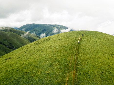 Aerial view of verdant rolling hills with a winding path leading to a misty summit Obudu Cross River Nigeria.
