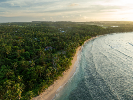 Aerial view of Mahaybo Beach with lush palm trees lining the sandy shore and gentle waves washing onto the coast during golden hour in General Luna Caraga Philippines. Aerial view of Mahaybo Beach with lush palm trees lining the sandy shore and gentle waves washing onto the coast during golden hour in General Luna Caraga Philippines.
