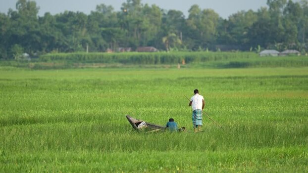 View of fishermen in a boat in a green field Bangladesh.