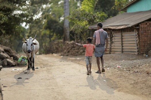 Odisha India 26 March 2026 View of a boy pointing towards a zebu cow on a dusty road a weathered brick house standing nearby under the soft Indian sun.. Odisha India 26 March 2026 View of a boy pointing towards a zebu cow on a dusty road a weathered brick house standing nearby under the soft Indian sun..