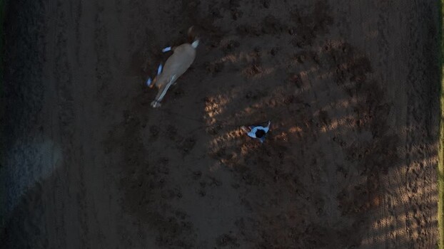 Aerial view of horse training in a dirt ring Portugal. Aerial view of horse training in a dirt ring Portugal.