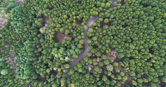 Aerial view of a winding road through a dense green forest Italy. Aerial view of a winding road through a dense green forest Italy.