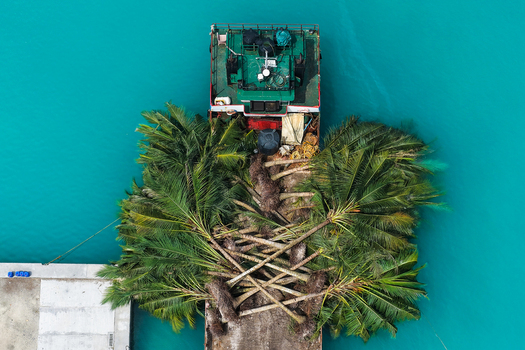 Aerial view of a cargo barge transporting several large palm trees across turquoise tropical waters near a concrete pier Hanimaadhoo Haa Dhaalu Atoll Maldives. Aerial view of a cargo barge transporting several large palm trees across turquoise tropical waters near a concrete pier Hanimaadhoo Haa Dhaalu Atoll Maldives.