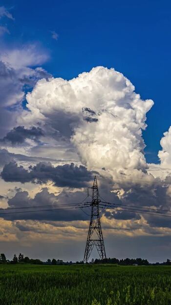 View of power line tower in a field in Latvia. View of power line tower in a field in Latvia.