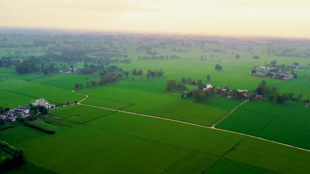 Aerial view of lush green village fields in Patna Bihar India.
