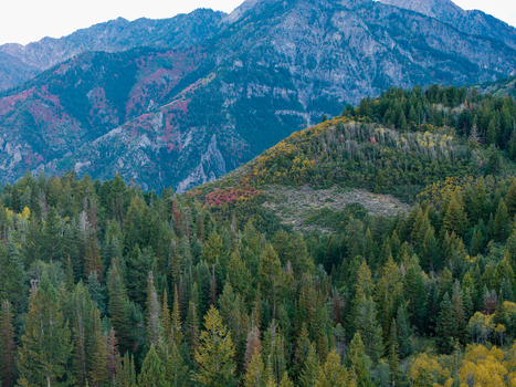Aerial view of Alpine Loop Scenic Byway during autumn with vibrant fall foliage evergreen forests and rugged mountains in Utah County Utah United States. Aerial view of Alpine Loop Scenic Byway during autumn with vibrant fall foliage evergreen forests and rugged mountains in Utah County Utah United States.