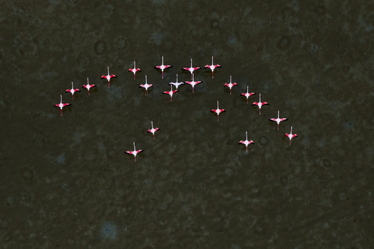 Aerial view of a perfectly aligned formation of small red and white boats creating a striking visual pattern against the dark water San Pedro del Pinatar Spain. Aerial view of a perfectly aligned formation of small red and white boats creating a striking visual pattern against the dark water San Pedro del Pinatar Spain.