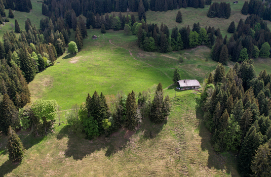 Aerial view of a traditional wooden chalet nestled in a lush green mountain meadow surrounded by dense evergreen forests in Rougemont Vaud Switzerland. Aerial view of a traditional wooden chalet nestled in a lush green mountain meadow surrounded by dense evergreen forests in Rougemont Vaud Switzerland.