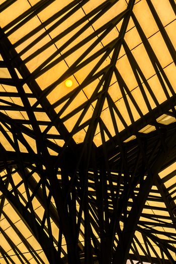 View of the intricate steel structure and geometric roof design of Gare do Oriente Lisboa Lisboa Portugal. View of the intricate steel structure and geometric roof design of Gare do Oriente Lisboa Lisboa Portugal.