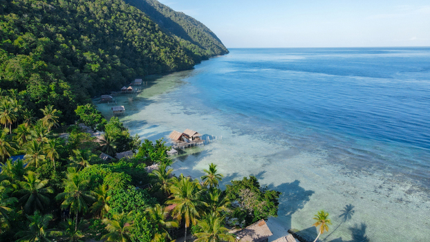 Aerial view of overwater bungalows nestled along a lush tropical coastline with palm trees and clear turquoise waters in Raja Ampat Southwest Papua Indonesia.