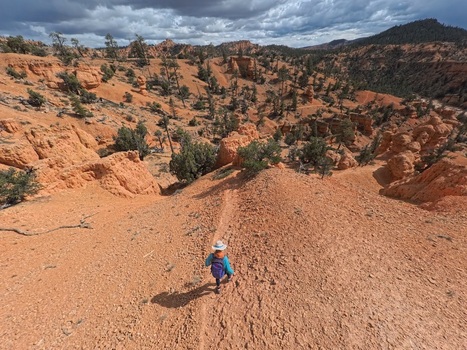 Aerial view of a hiker walking along the Arches Trail in Casto Canyon surrounded by red rock formations and pine trees under a cloudy sky in Bryce Canyon City Utah United States.