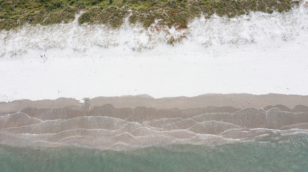Aerial view of white sandy beach with gentle waves washing onto the shore and green vegetation along the dunes in Omaha Auckland New Zealand.