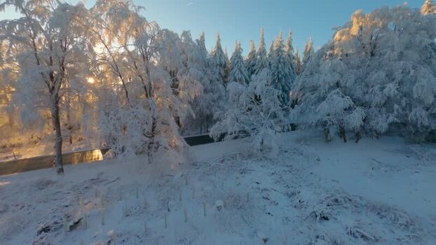 FPV aerial view of snow covered trees in a winter forest Germany.