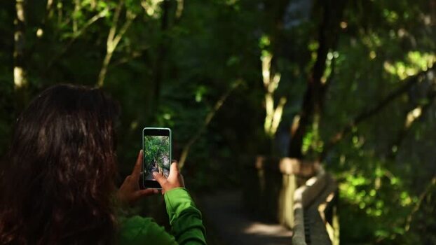 View of a person filming in a lush forest New Zealand.