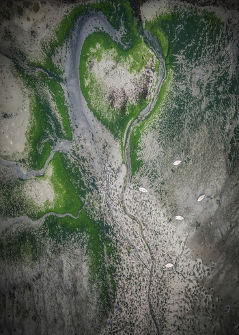 Aerial view of Bull Island featuring a heart shaped patch of green algae and small white boats anchored in the shallow coastal waters of County Dublin Ireland. Aerial view of Bull Island featuring a heart shaped patch of green algae and small white boats anchored in the shallow coastal waters of County Dublin Ireland.