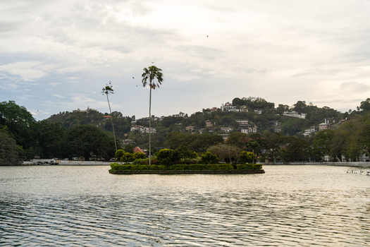 View of Kandy Lake featuring the central island with tall palm trees against a backdrop of lush green hills and residential buildings Kandy Central Province Sri Lanka. View of Kandy Lake featuring the central island with tall palm trees against a backdrop of lush green hills and residential buildings Kandy Central Province Sri Lanka.