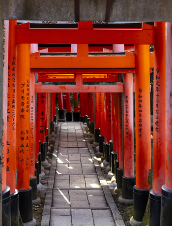 View of the iconic Senbon Torii gates with vibrant orange pillars and black bases lining a stone walkway at Fushimi Inari taisha shrine Kyoto Kyoto Japan.