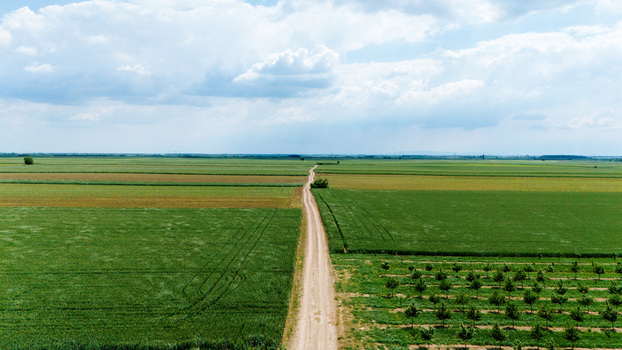 Aerial view of a straight dirt road stretching through vast green agricultural fields and orchards under a bright cloudy sky in Novi Sad Vojvodina Serbia. Aerial view of a straight dirt road stretching through vast green agricultural fields and orchards under a bright cloudy sky in Novi Sad Vojvodina Serbia.
