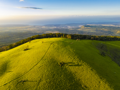 Aerial view of the lush green slopes of Puu Waawaa cinder cone under golden hour light with the Pacific Ocean in the distance Hawaii County Hawaii United States. Aerial view of the lush green slopes of Puu Waawaa cinder cone under golden hour light with the Pacific Ocean in the distance Hawaii County Hawaii United States.