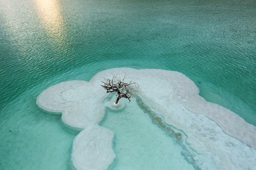 Aerial view of a solitary tree standing on a salt formation in the turquoise waters of the Dead Sea Arad South District Israel. Aerial view of a solitary tree standing on a salt formation in the turquoise waters of the Dead Sea Arad South District Israel.