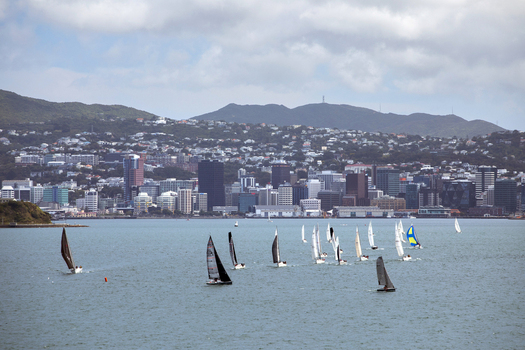 View of sailboats racing on the blue waters of the harbour with the city skyline and rolling green hills under a cloudy sky in Wellington Wellington Region New Zealand.