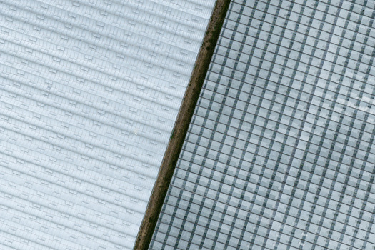 Aerial view of a large greenhouse farm with glass roof structures and a central path in Poland. Aerial view of a large greenhouse farm with glass roof structures and a central path in Poland.