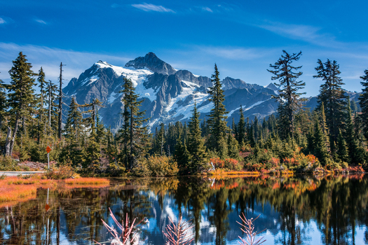View of Mount Baker reflecting in a calm lake surrounded by evergreen trees and autumn foliage under a clear blue sky in Whatcom County Washington United States. View of Mount Baker reflecting in a calm lake surrounded by evergreen trees and autumn foliage under a clear blue sky in Whatcom County Washington United States.